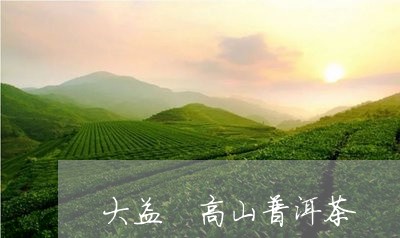 大益 高山普洱茶/2023041387159